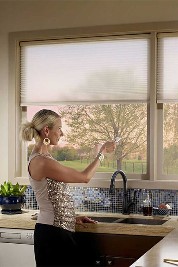Motorization